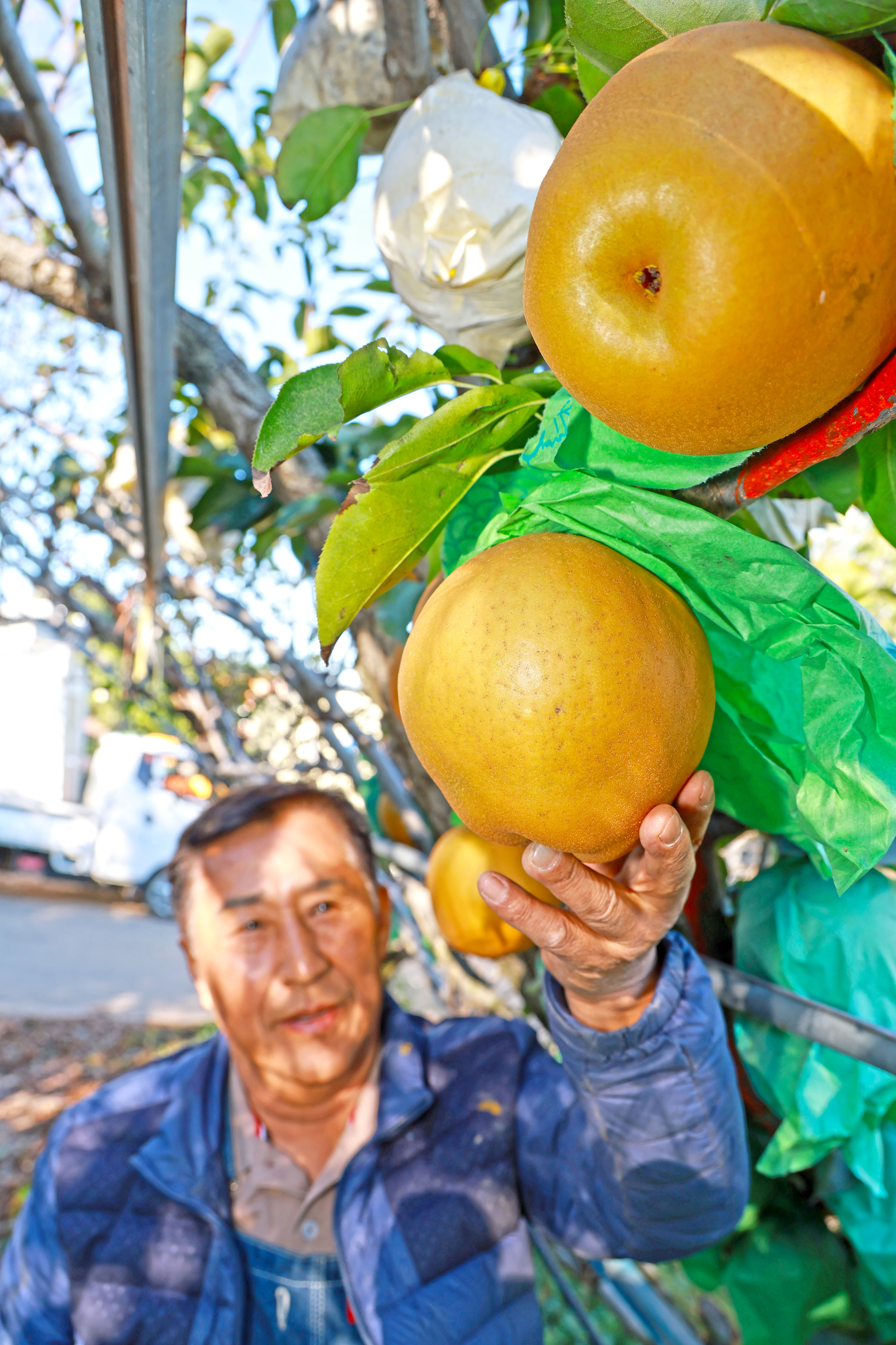 “지리산 청정골 산청에서 자란 대왕배 맛 보세요” 3