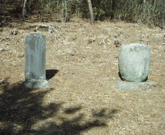 산청 심적사 한암대사 승탑 및 탑비 이미지