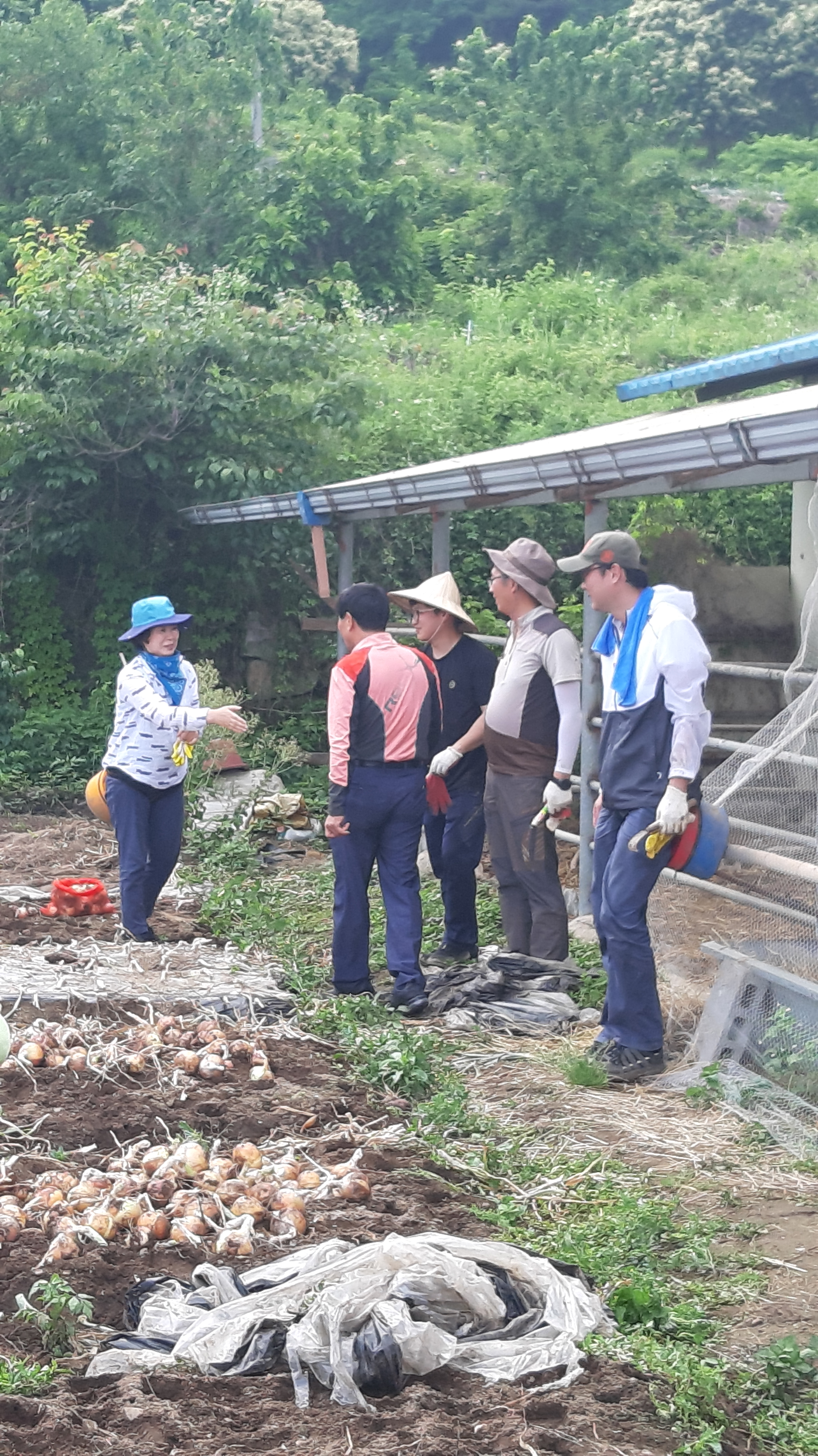 2019년 농촌일손돕기 직원격려 및 농가 방문