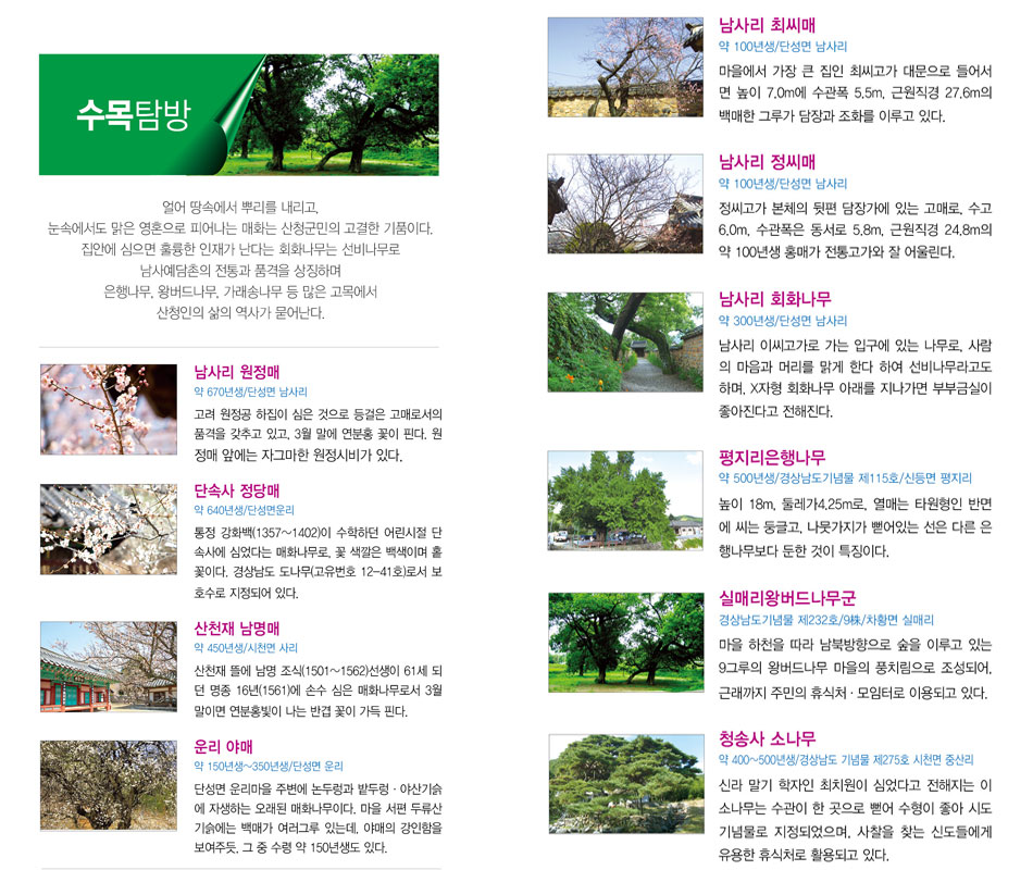 수목탐방 이미지